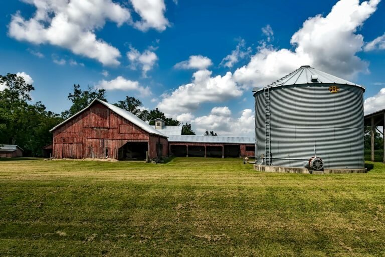 Rustic barn and silo on a sunny day in rural Iowa, perfect for stock photos.