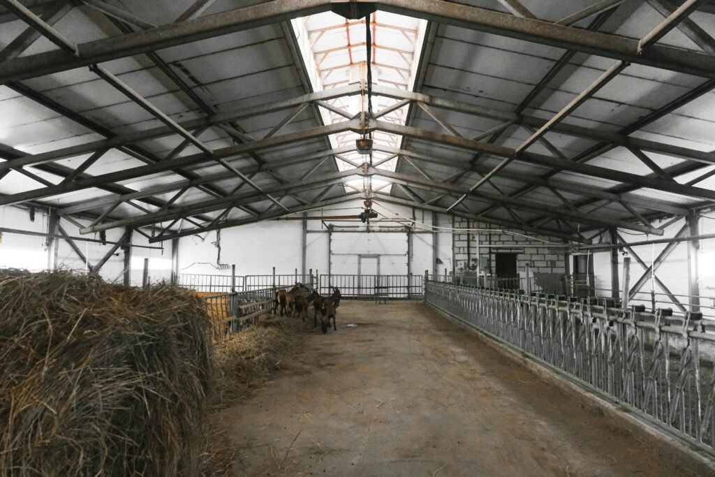 Interior view of a barn with horses and stacked hay bales.